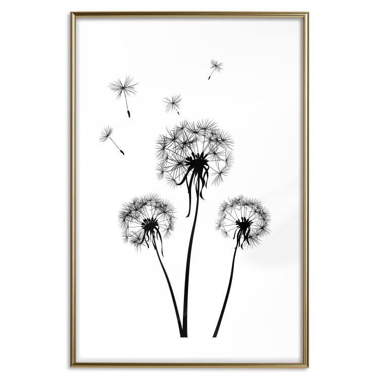 Wall Poster Flying dandelions - black and white composition with three flowers in the wind 115073 additionalImage 14
