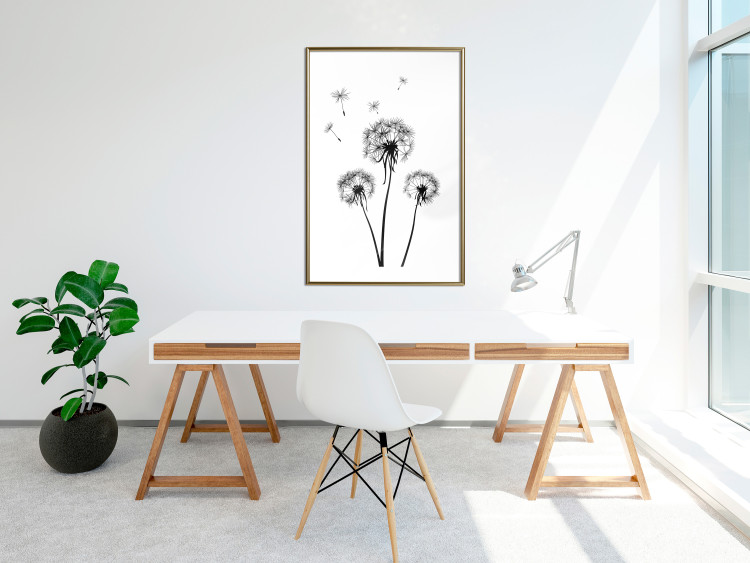 Wall Poster Flying dandelions - black and white composition with three flowers in the wind 115073 additionalImage 13