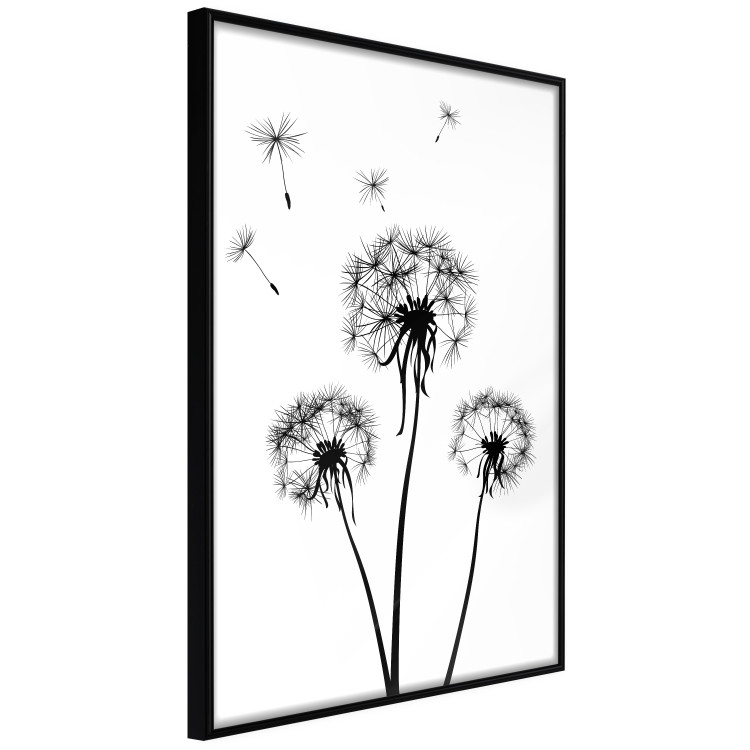 Wall Poster Flying dandelions - black and white composition with three flowers in the wind 115073 additionalImage 9