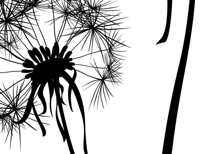 Wall Poster Flying dandelions - black and white composition with three flowers in the wind 115073 additionalImage 7