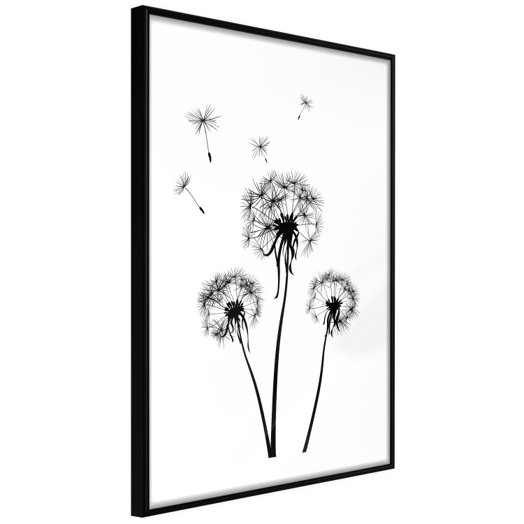 Wall Poster Flying dandelions - black and white composition with three flowers in the wind 115073 additionalImage 10