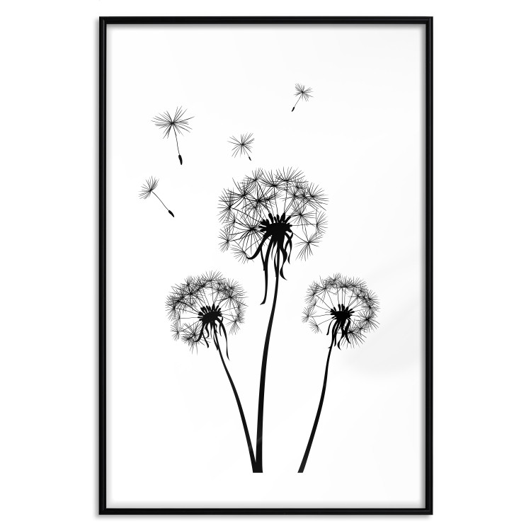 Wall Poster Flying dandelions - black and white composition with three flowers in the wind 115073 additionalImage 15
