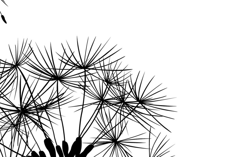 Wall Poster Flying dandelions - black and white composition with three flowers in the wind 115073 additionalImage 8