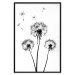 Wall Poster Flying dandelions - black and white composition with three flowers in the wind 115073 additionalThumb 18