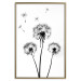 Wall Poster Flying dandelions - black and white composition with three flowers in the wind 115073 additionalThumb 16