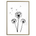Wall Poster Flying dandelions - black and white composition with three flowers in the wind 115073 additionalThumb 14