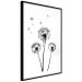 Wall Poster Flying dandelions - black and white composition with three flowers in the wind 115073 additionalThumb 10