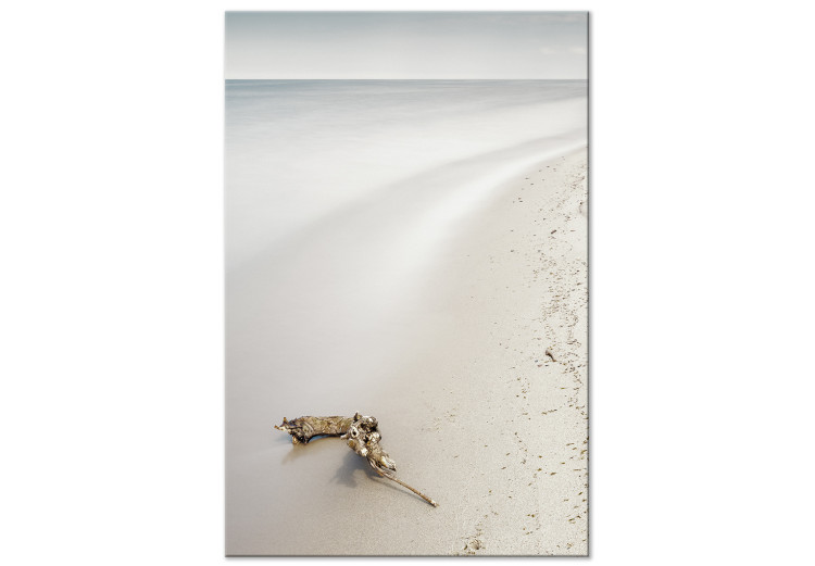 Canvas Print Scandinavian coast - calm sea and fine sand on the beach 117273
