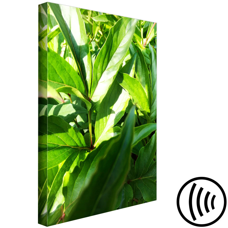 Canvas Print Green Field of Leaves (1-part) - Exotic Plant Forest in Nature 122673 additionalImage 6
