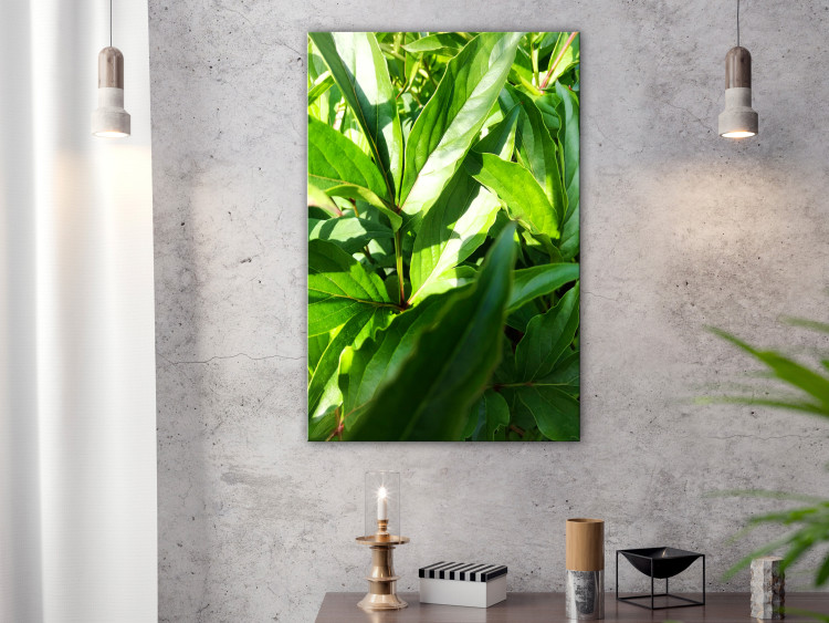 Canvas Print Green Field of Leaves (1-part) - Exotic Plant Forest in Nature 122673 additionalImage 3