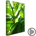 Canvas Print Green Field of Leaves (1-part) - Exotic Plant Forest in Nature 122673 additionalThumb 6
