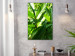 Canvas Print Green Field of Leaves (1-part) - Exotic Plant Forest in Nature 122673 additionalThumb 3