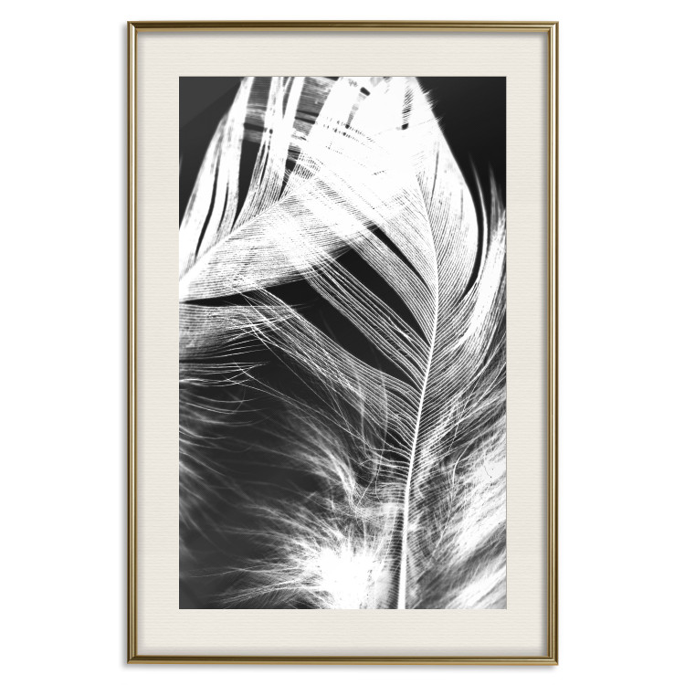 Poster White Feather - black and white bird feathers on a dark contrasting background 129773 additionalImage 20
