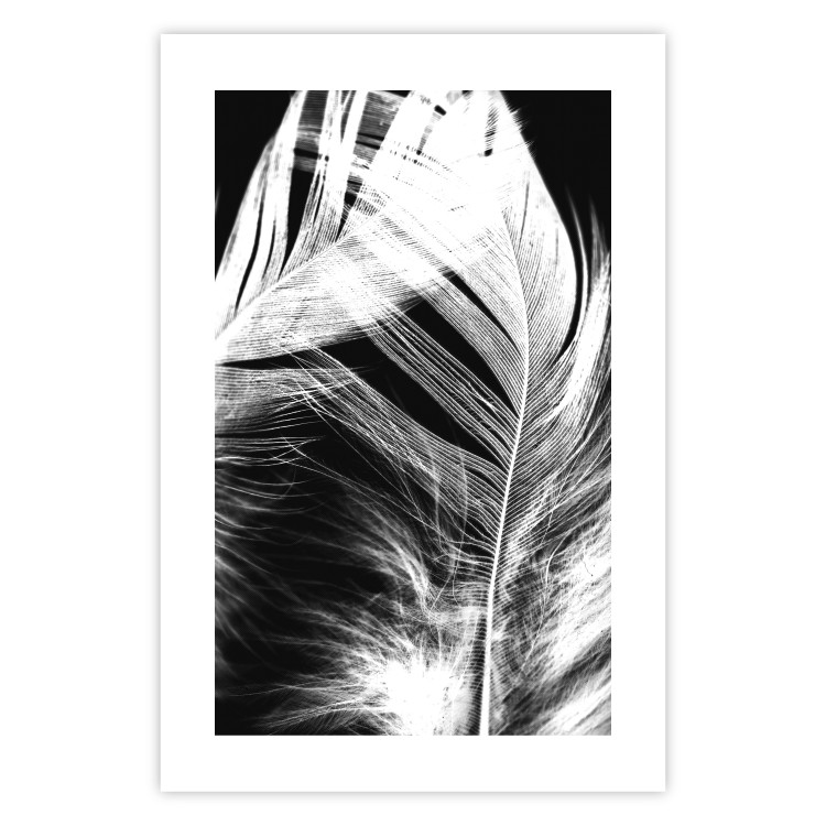 Poster White Feather - black and white bird feathers on a dark contrasting background 129773 additionalImage 19