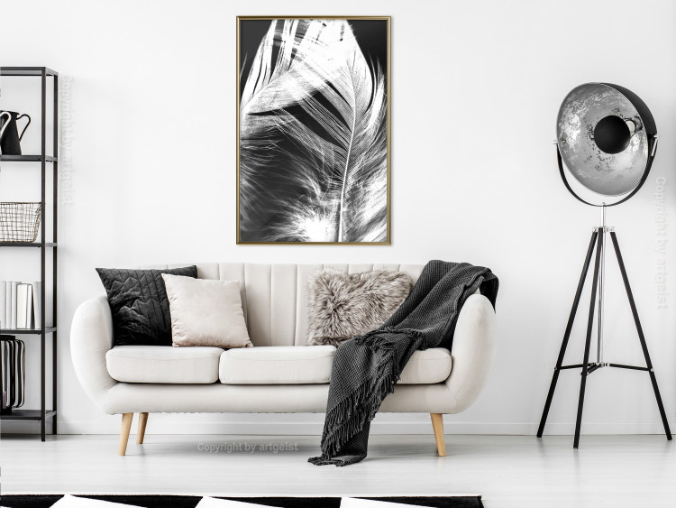 Poster White Feather - black and white bird feathers on a dark contrasting background 129773 additionalImage 6