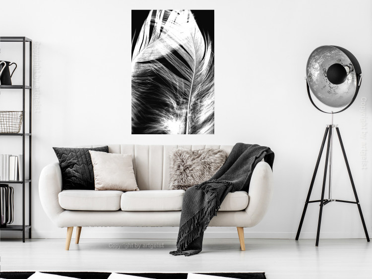 Poster White Feather - black and white bird feathers on a dark contrasting background 129773 additionalImage 6