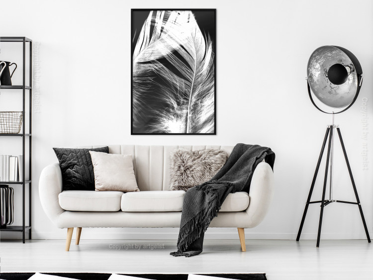 Poster White Feather - black and white bird feathers on a dark contrasting background 129773 additionalImage 9