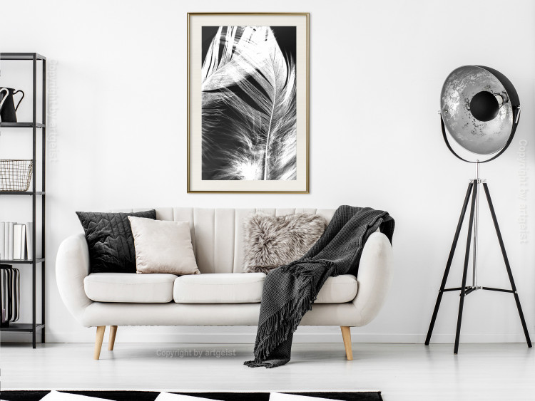 Poster White Feather - black and white bird feathers on a dark contrasting background 129773 additionalImage 22