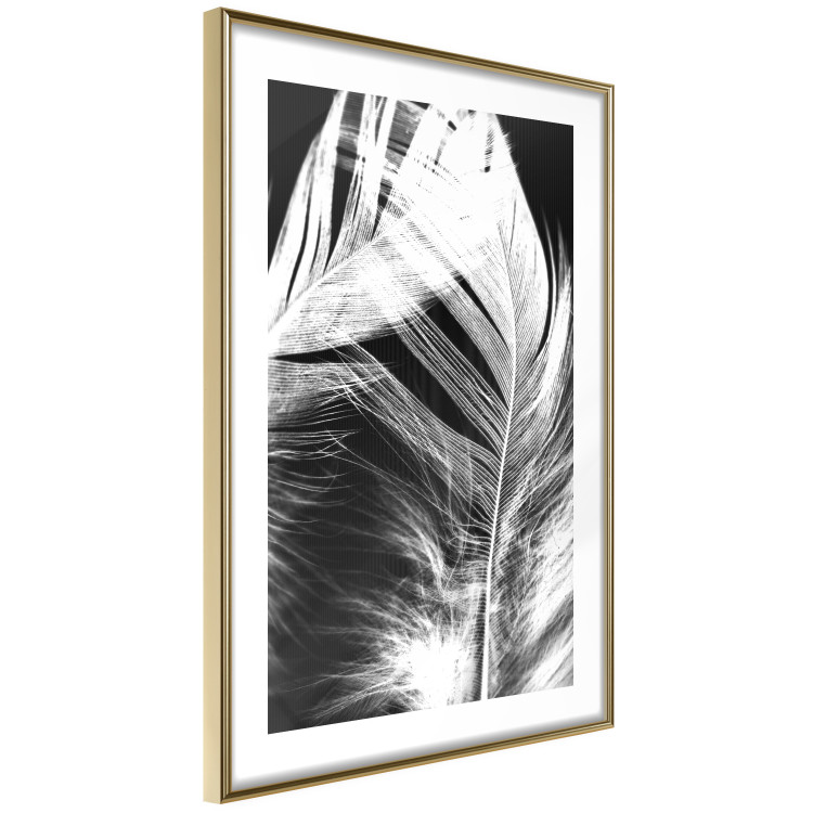 Poster White Feather - black and white bird feathers on a dark contrasting background 129773 additionalImage 9