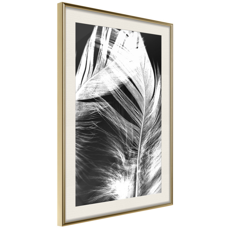 Poster White Feather - black and white bird feathers on a dark contrasting background 129773 additionalImage 7