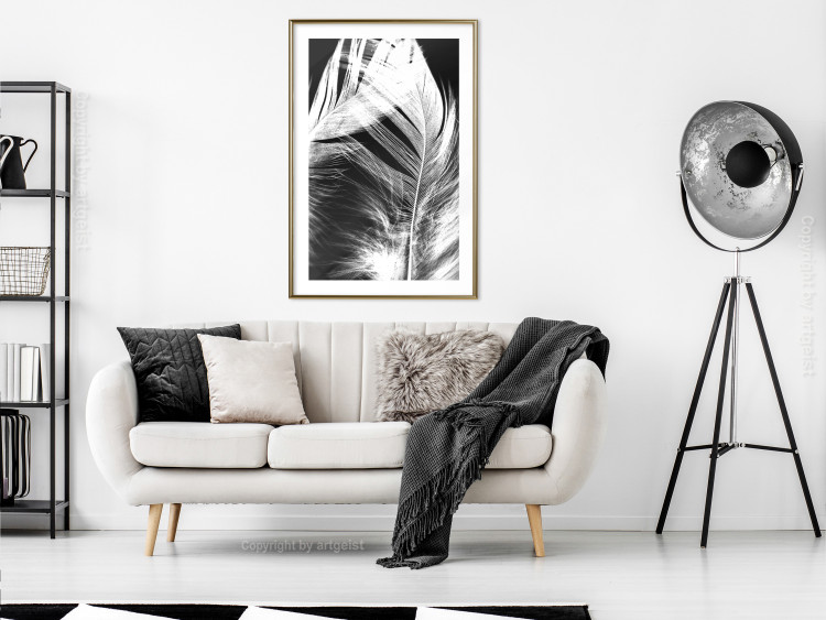 Poster White Feather - black and white bird feathers on a dark contrasting background 129773 additionalImage 15