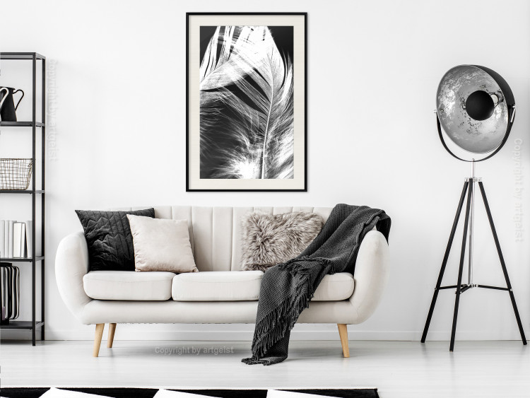 Poster White Feather - black and white bird feathers on a dark contrasting background 129773 additionalImage 24