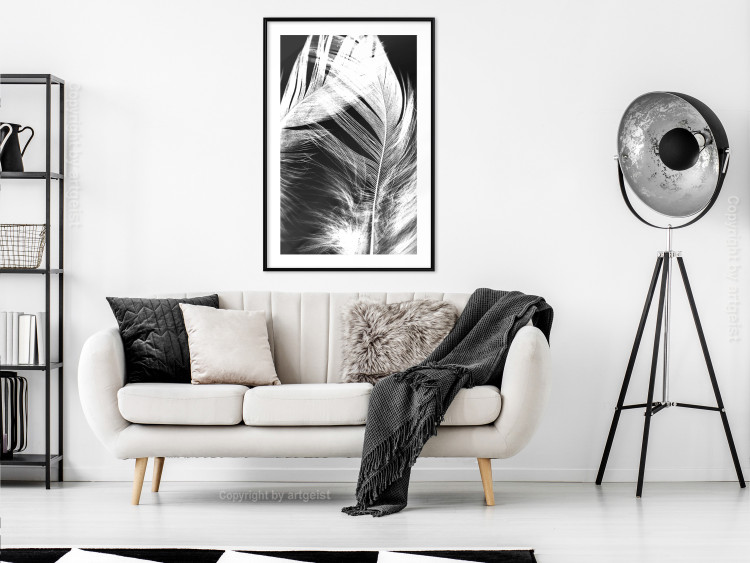 Poster White Feather - black and white bird feathers on a dark contrasting background 129773 additionalImage 23