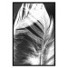 Poster White Feather - black and white bird feathers on a dark contrasting background 129773 additionalThumb 18