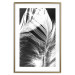 Poster White Feather - black and white bird feathers on a dark contrasting background 129773 additionalThumb 14