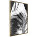 Poster White Feather - black and white bird feathers on a dark contrasting background 129773 additionalThumb 10