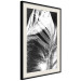 Poster White Feather - black and white bird feathers on a dark contrasting background 129773 additionalThumb 5