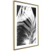 Poster White Feather - black and white bird feathers on a dark contrasting background 129773 additionalThumb 11