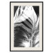 Poster White Feather - black and white bird feathers on a dark contrasting background 129773 additionalThumb 19