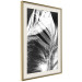 Poster White Feather - black and white bird feathers on a dark contrasting background 129773 additionalThumb 7