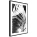 Poster White Feather - black and white bird feathers on a dark contrasting background 129773 additionalThumb 12