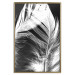 Poster White Feather - black and white bird feathers on a dark contrasting background 129773 additionalThumb 17