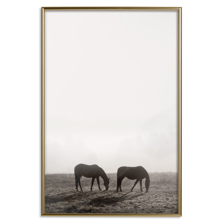 Poster Morning Respite - landscape of horses in a field against bright sky 130273 additionalImage 17