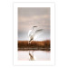 Wall Poster Autumn Over the Lake - landscape of a white bird against a golden field 130373 additionalThumb 15