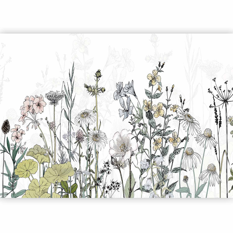 Wall Mural Meadow Of Memories 130573 additionalImage 1