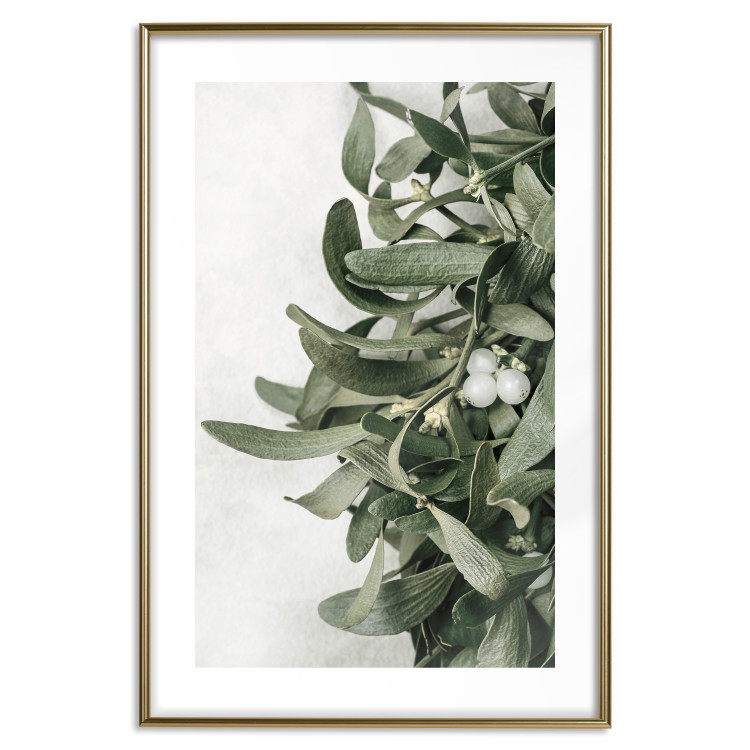 Wall Poster Christmas Holly - plant related to Christmas 137973 additionalImage 4