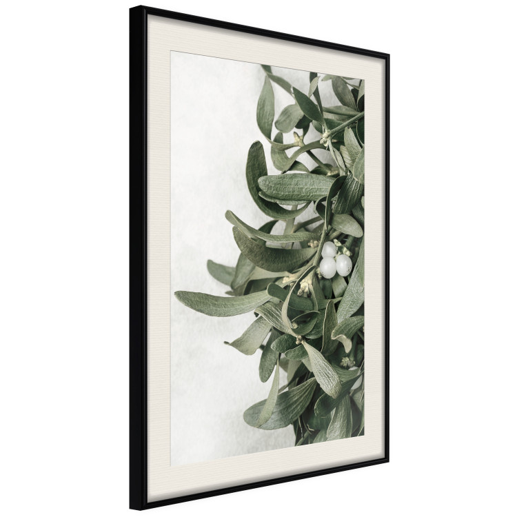 Wall Poster Christmas Holly - plant related to Christmas 137973 additionalImage 20