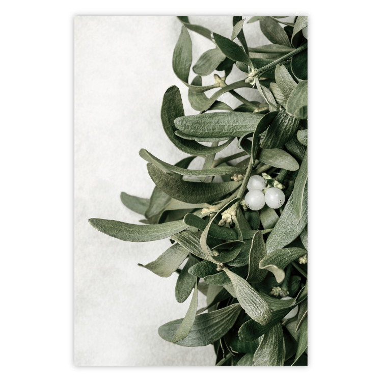 Wall Poster Christmas Holly - plant related to Christmas 137973