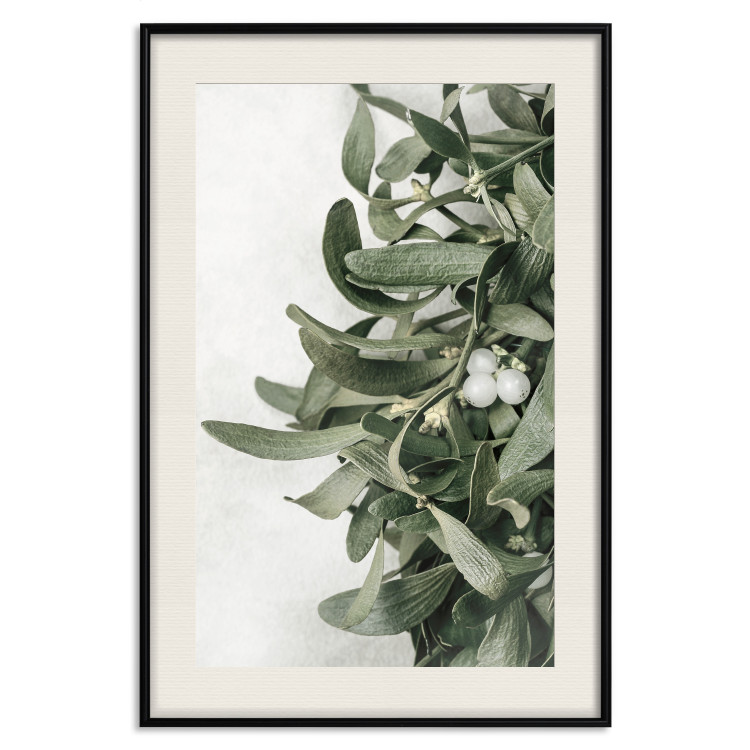 Wall Poster Christmas Holly - plant related to Christmas 137973 additionalImage 3