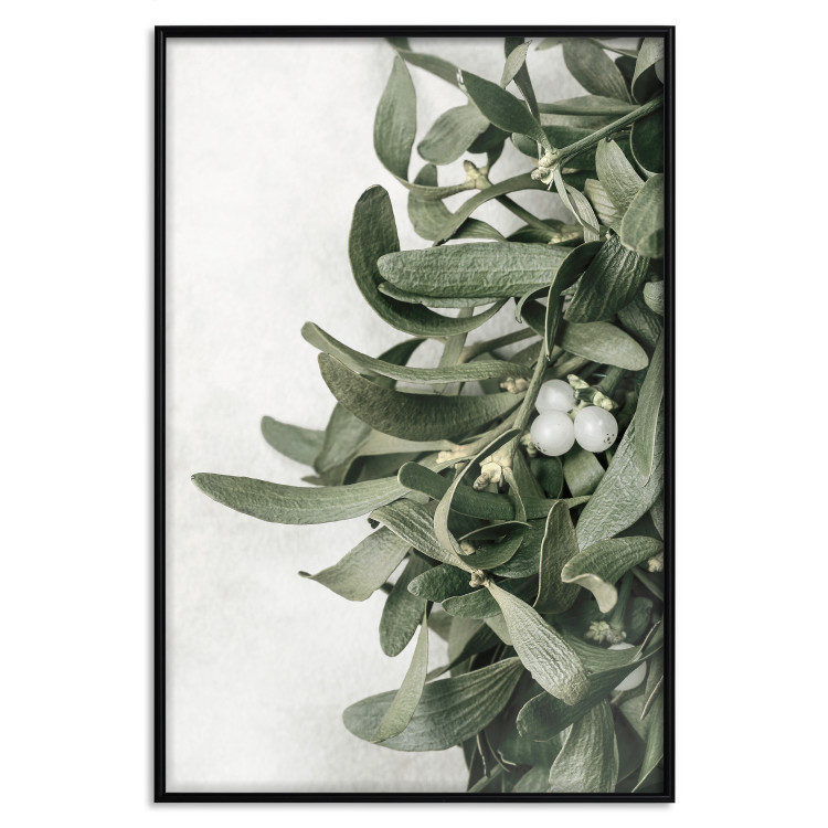 Wall Poster Christmas Holly - plant related to Christmas 137973 additionalImage 7