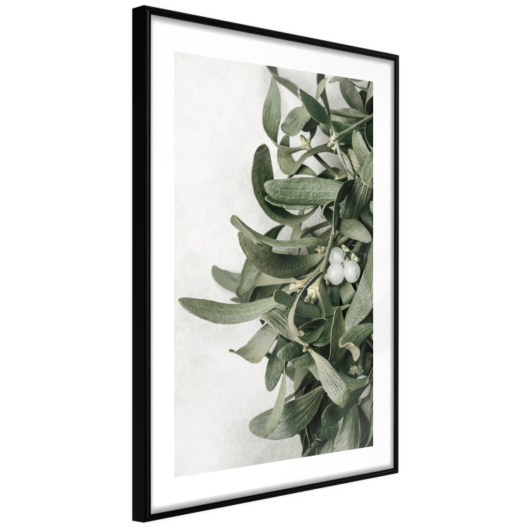 Wall Poster Christmas Holly - plant related to Christmas 137973 additionalImage 15