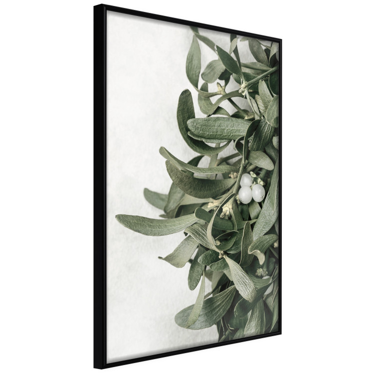Wall Poster Christmas Holly - plant related to Christmas 137973 additionalImage 23