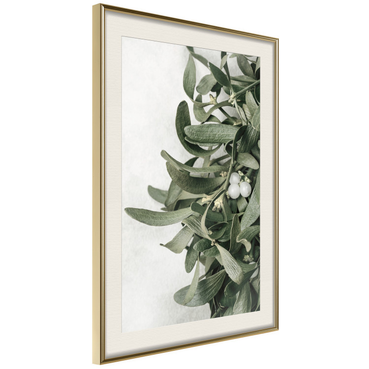 Wall Poster Christmas Holly - plant related to Christmas 137973 additionalImage 19