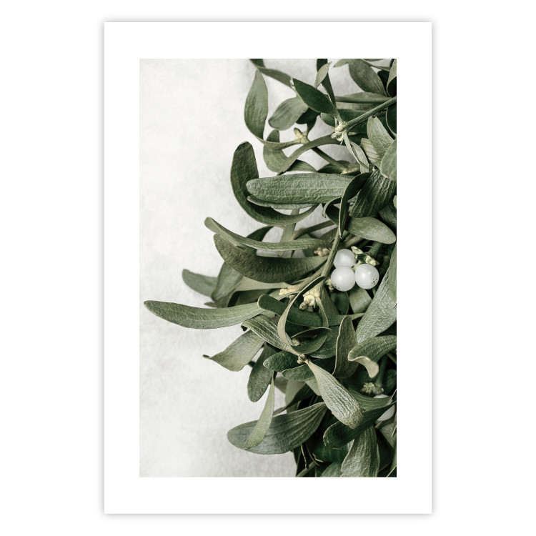 Wall Poster Christmas Holly - plant related to Christmas 137973 additionalImage 8