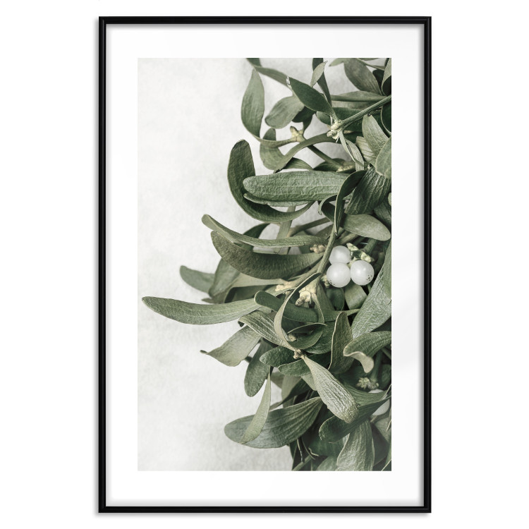 Wall Poster Christmas Holly - plant related to Christmas 137973 additionalImage 5