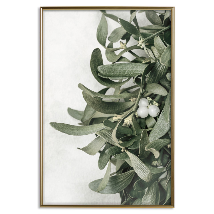 Wall Poster Christmas Holly - plant related to Christmas 137973 additionalImage 6